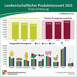 Landwirtschaftlicher Produktionswert 2025.
