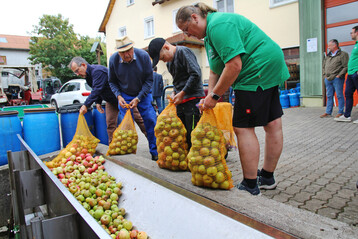 Die Mostobstmengen 2025 im S�dwesten waren teils gr��er als erwartet. Im Gegenzug blieben die Mostobstpreise aber unter den Vorjahreswerten.