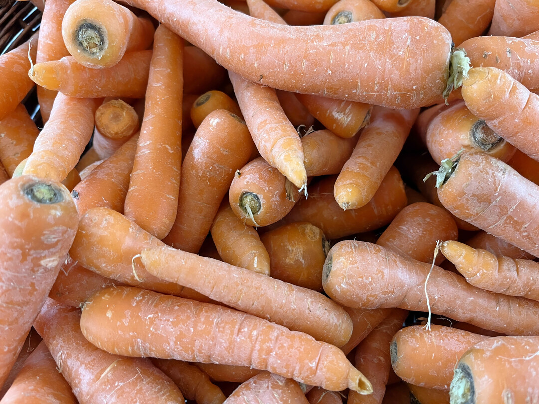 M�hrenreste k�nnen mithilfe von Pilzen zur Gewinnung schmackhafter Proteine beitragen.