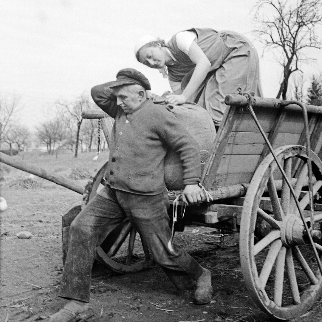 Die Landwirtschaft war in den Drei�igerjahren harte Arbeit. Hier hilft eine Frau im Arbeitsdienst einem Bauern beim Verladen von S�cken.