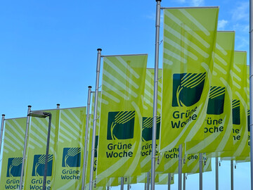 Die Fahnen der Gr�nen Woche in Berlin.