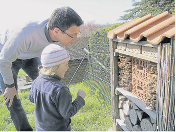 Im April und Mai herrscht Hochbetrieb am Insektenhotel. Klein wie Groß können das rege Summen und Brummen staunend beobachten.
