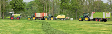 Die Grassilage wurde mit Feldh�cksler, Ladewagen und Press-Wickel-Kombination parallel, schwadweise versetzt geerntet.