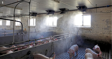 Bei einer Hochdruckvernebelungsanlage sollte eine Luftfeuchtigkeit von 80 Prozent nicht �berschritten werden.