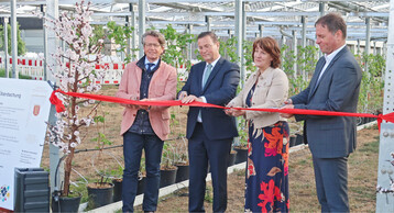 Bei der Einweihung: (v.l.) Direktor Dr. Dieter Blankenhorn (LVWO), Minister Peter Hauk (MLR), Staatssekret�rin Gisela Splett (FM) sowie B�rgermeister Timo Frey (Bad Friedrichshall).