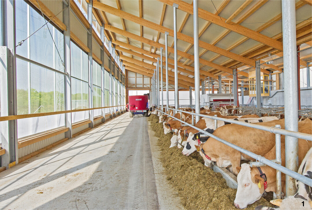 Au�enklimast�lle haben sich als kosteng�nstige Systeme in der Rinderhaltung durchgesetzt. Dabei handelt es sich meistens um gro�volumige, einh�usige Bauweisen mit Windschutznetzen an den L�ngsseiten.