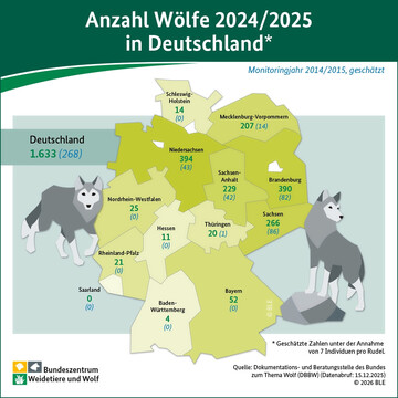 Die Wolfsbest�nde in Deutschland sind in den vergangenen Jahren stark gewachsen. Die Infografik zeigt, wie sich der Wolfsbestand in den einzelnen Bundesl�ndern entwickelt hat.