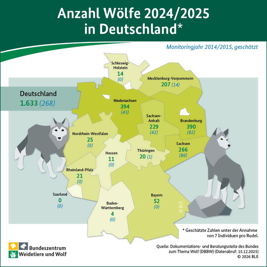 Die Wolfsbest�nde in Deutschland sind in den vergangenen Jahren stark gewachsen. Die Infografik zeigt, wie sich der Wolfsbestand in den einzelnen Bundesl�ndern entwickelt hat.