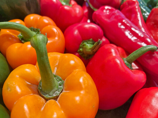 In der Kategorie Obst und Gem�se waren im Jahr 2024 rund 58 Prozent der Lebensmittelproben mit R�ckst�nden belastet.