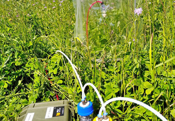 Versuche in Pflanzengemeinschaften.