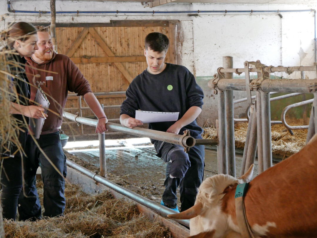 Die Teilnehmenden mussten Tierbest�nde und Getreideschl�ge fachgerecht beurteilen. Sie wurden einzeln oder im Team gepr�ft. 