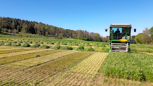 In den Landessortenversuchen m�ssen sich neue Sorten in den Merkmalen Ertrag, Qualit�t, Ausdauer, Winterh�rte und Resistenzeigenschaften unter verschiedenen Wachstumsbedingungen eines Bundeslandes der Pr�fung unterziehen.