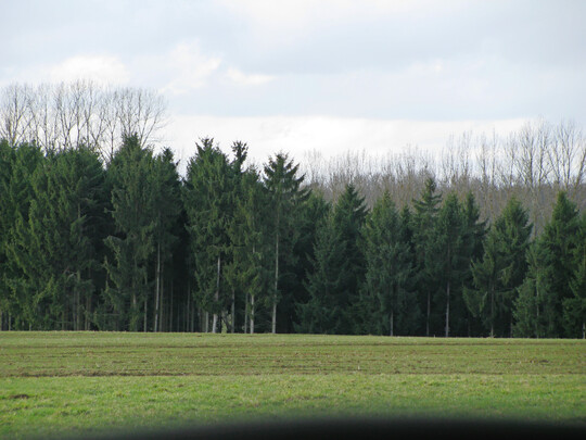 Unter Gr�nland sind die Humusvorr�te in den B�den Baden-W�rttembergs durchschnittlich am h�chsten. Dahinter folgt der Wald, bei bis zu 100 cm Tiefe nur knapp vor Ackerland. Das zeigen Daten der Landesanstalt f�r Umwelt Baden-W�rttemberg (LUBW).