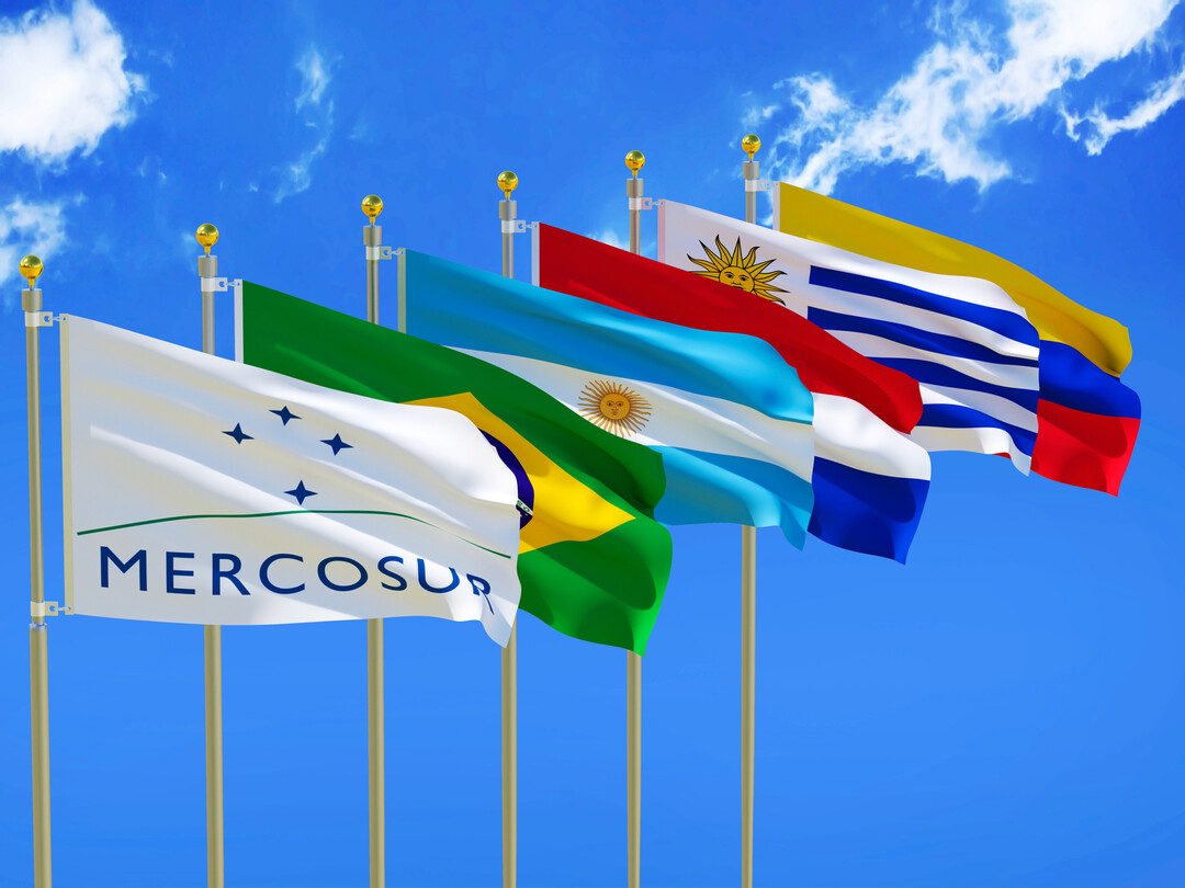 Das Europaparlament schickt das Mercosur-Handelsabkommen f�r unabsehbare Zeit in die juristische W�ste.