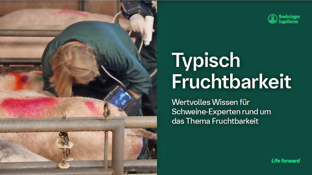 Das E-Book ist kostenfrei.