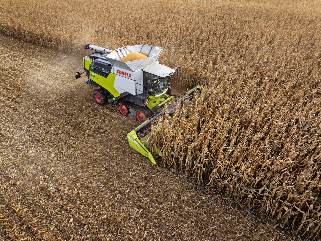 In der Region �S�d� wurden im Jahr 2025 insgesamt 18 K�rnermaissorten unter lokalen Bedingungen getestet.