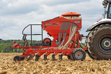 Die S�zinken sind vierreihig angeordnet.