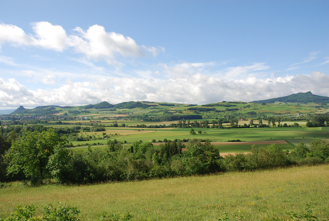 Schweizer Landwirte können auf deutschen Flächen EU-Beihilfen erhalten, ohne dass die Kontrollstandards der EU auf ihren außereuropäischen Hofstellen vollständig durchgesetzt werden können