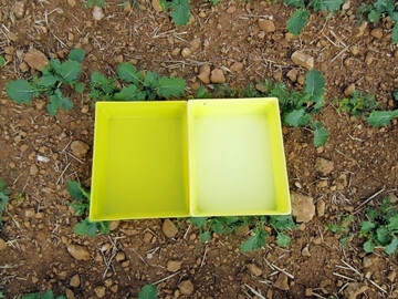 Eine neue (l.) und eine ausgeblichene Gelbschale (r.) im Vergleich.