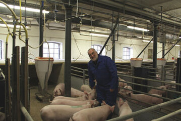 Die Schweine in der Mehrfl�chenbucht haben Prof. Thomas Richter zum Fressen gern