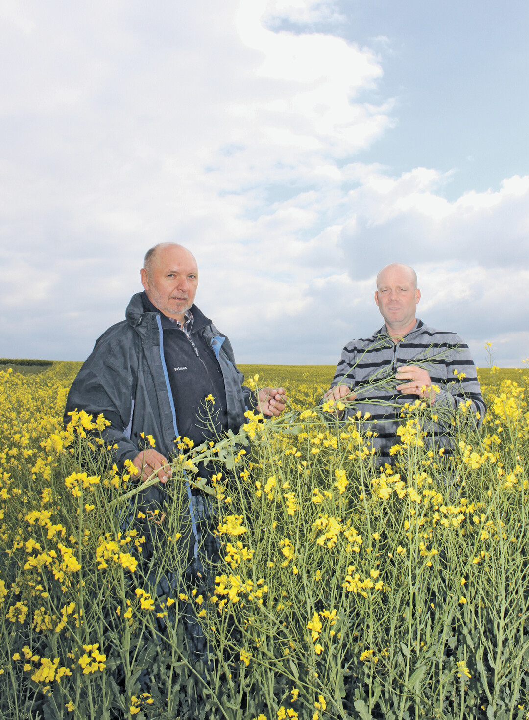 Berater Joachim Hungerland (links) und Landwirt Markus Stollsteimer erkl�ren im Bestand die Hintergr�nde des Zulassungsverbotes.