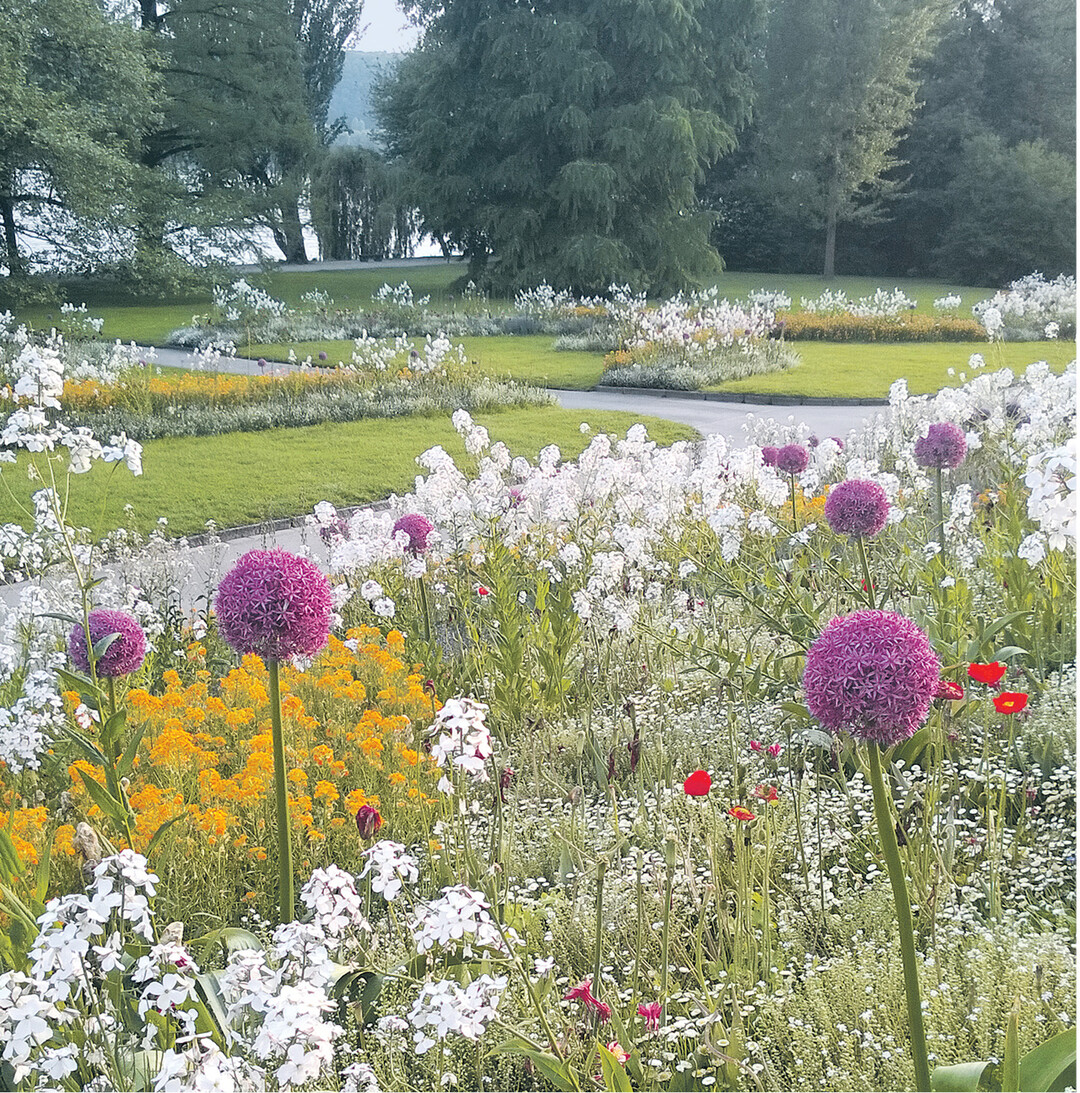 Letzter Fr�hlingsflor auf der Blumeninsel Mainau. Ab 12. bis 28. Juni k�nnen die Besucher die Rosenk�nigin w�hlen. In Parks und auf Gartenschauen gibt es vielf�ltige Anregungen f�r das Gestalten des Bl�tenreichs daheim. Was die Landesgartenschau in M�hlacker zu bieten hat, das erfahren Sie auf Seite 33.