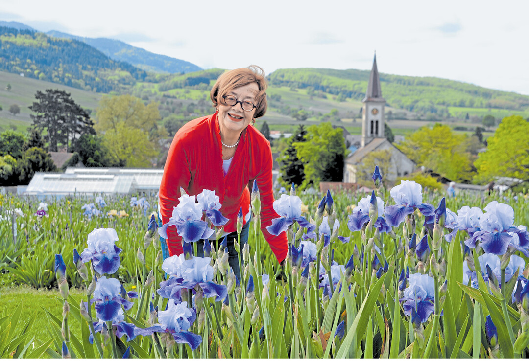 Aglaja von Rumohr, Inhaberin der Staudeng�rtnerei Gr�fin von Zeppelin, mit der nach ihrer Mutter benannten Iris-Sorte �Helen von Zeppelin�.
