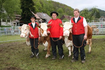 Den Gesamtsieg der Z�chtersammlungen erreichte eindeutig Hubert Sch�tzle aus Todtnau- Pr�g. Die Qualit�t der drei K�he, die zusammen 26 Kalbungen aufwiesen, war nicht zu toppen.