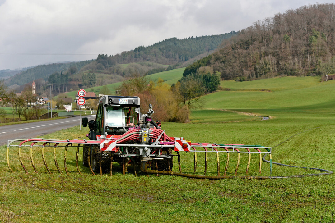 Mit seinem nur 2,6 t schweren Reform Metrac und einem 7-Meter-Schleppschlauchverteiler kann Benedikt Himmelsbach aus Schuttertal frühzeitig Gülle ausbringen, ohne Strukturschäden auf dem feuchten Grünland zu hinterlassen.
