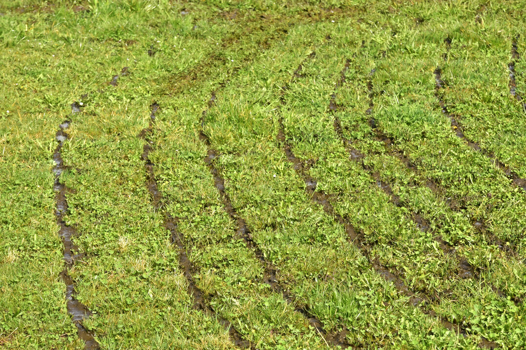 Die Nährstoffe aus der Gülle stehen dem Bestand zum Vegetationsstart im Frühjahr rechtzeitig zur Verfügung.