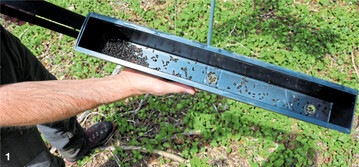 Wie aktiv die Buchdrucker bereits sind, zeigt ein Blick in eine Pheromonfalle von ForstBW bei Meckenbeuren am 28. Mai. An der Ausbildungsstelle Wei�enau gibt es im Forstbezirk Altdorfer Wald solche Messstationen an insgesamt f�nf Standorten, um die Schw�rmzeit des K�fers zu �berwachen.