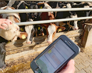 Inzwischen ist fast jedes elektronische Gerät mit einem Sprachassistenten ausgestattet. Künftig könnte diese Technologie auch Betriebsleitern in ihren Ställen dienen.