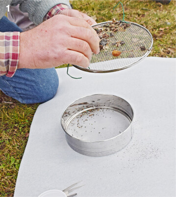 Klopfproben helfen bei der Kontrolle auf Sch�dlinge, die den Obstkulturen gef�hrlich werden k�nnten.