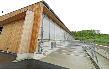 Der K�lberstall mit der Sheddach-Konstruktion bietet Platz f�r mehr als 150 Tiere im Alter von bis zu einem halben Jahr.