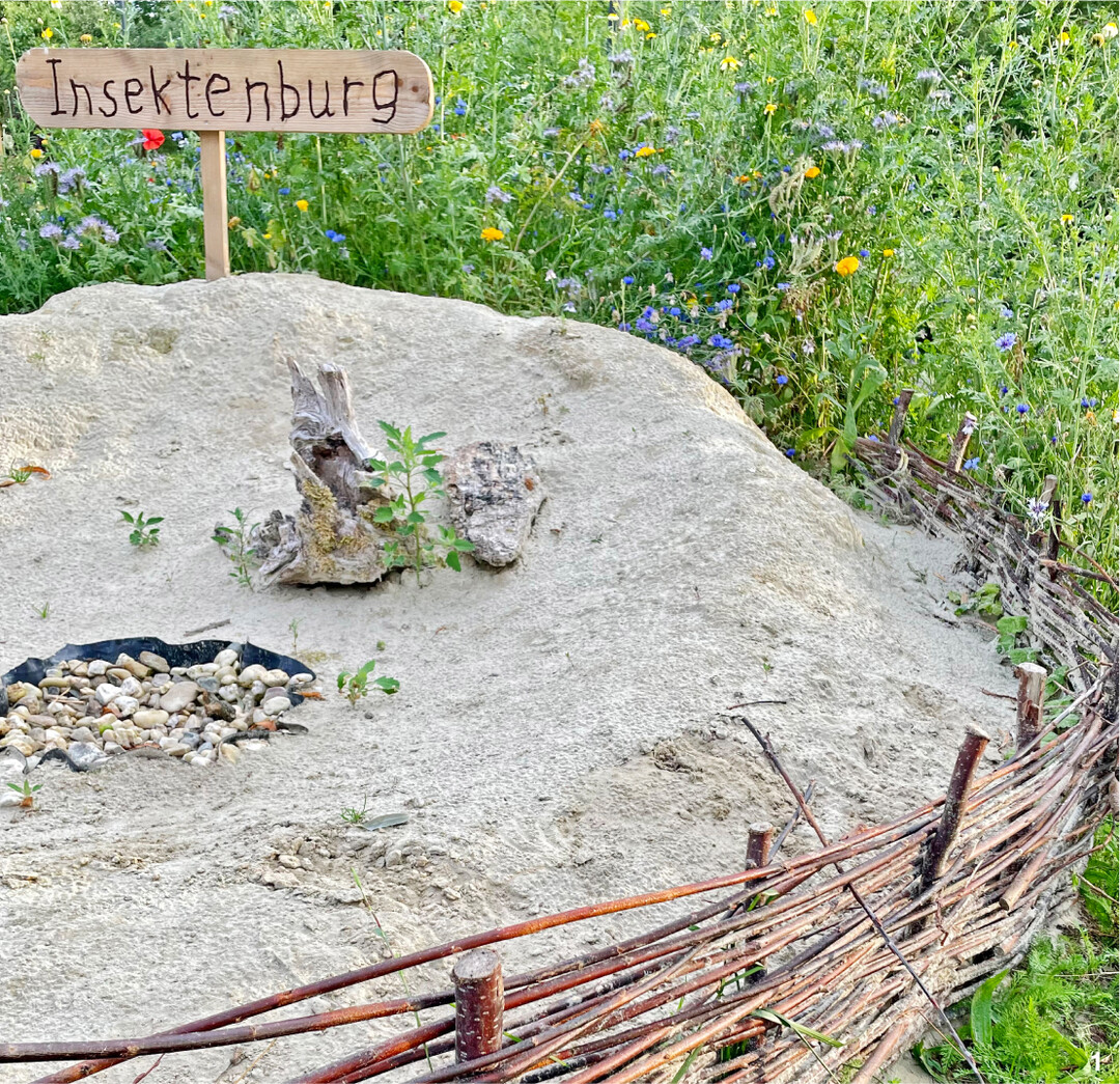 Bodennistende Insekten wie Sandbienen, Ameisen oder K�fer f�hlen sich in einem Sandhaufen wohl. Totholz und Steine wirken nicht nur als Deko, sondern sind wertvolle Elemente im Lebensraum Sandarium.