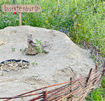 Bodennistende Insekten wie Sandbienen, Ameisen oder Käfer fühlen sich in einem Sandhaufen wohl. Totholz und Steine wirken nicht nur als Deko, sondern sind wertvolle Elemente im Lebensraum Sandarium.