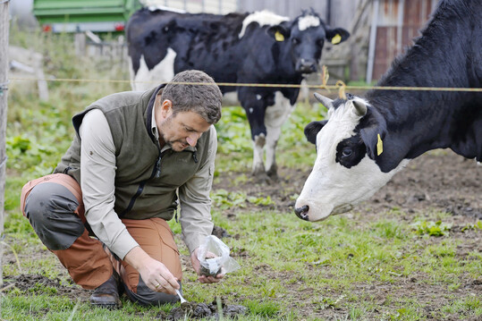 Welche Erreger k�nnten es sein? Um die Art der Parasiten sp�ter in einer Tierarztpraxis abkl�ren zu k�nnen, entnimmt ein Landwirt Kotproben von einer Weide.