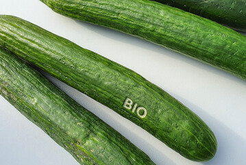 Nicht nur Betriebe m�ssen auf Bio umstellen, auch die Verbraucher und Verbraucherinnen m�ssen bereit sein den Preis f�r Bioprodukte zu bezahlen. 