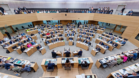 Wie landwirtschaftliche Themen ihren Weg ins Parlament finden, h�ngt auch von der Agenda und den Programmen der Parteien ab. 