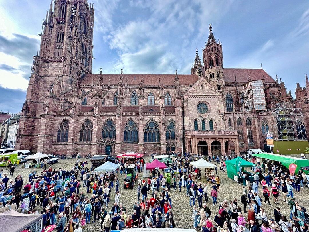 Regio Food Festival Regio Food Festival