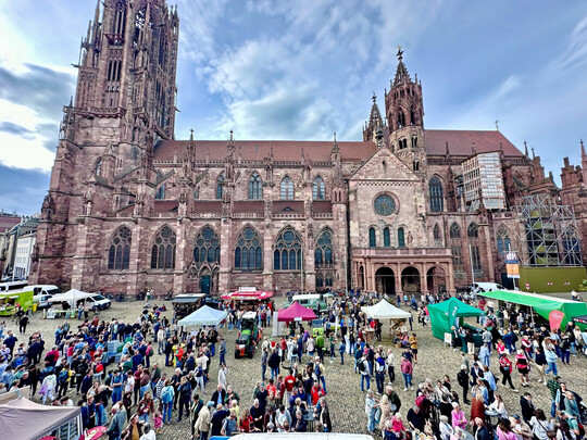 Regio Food Festival Regio Food Festival