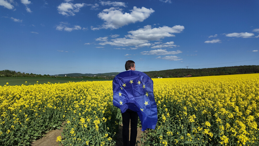 Europa verhandelt �ber die Verteilung der Gelder. 