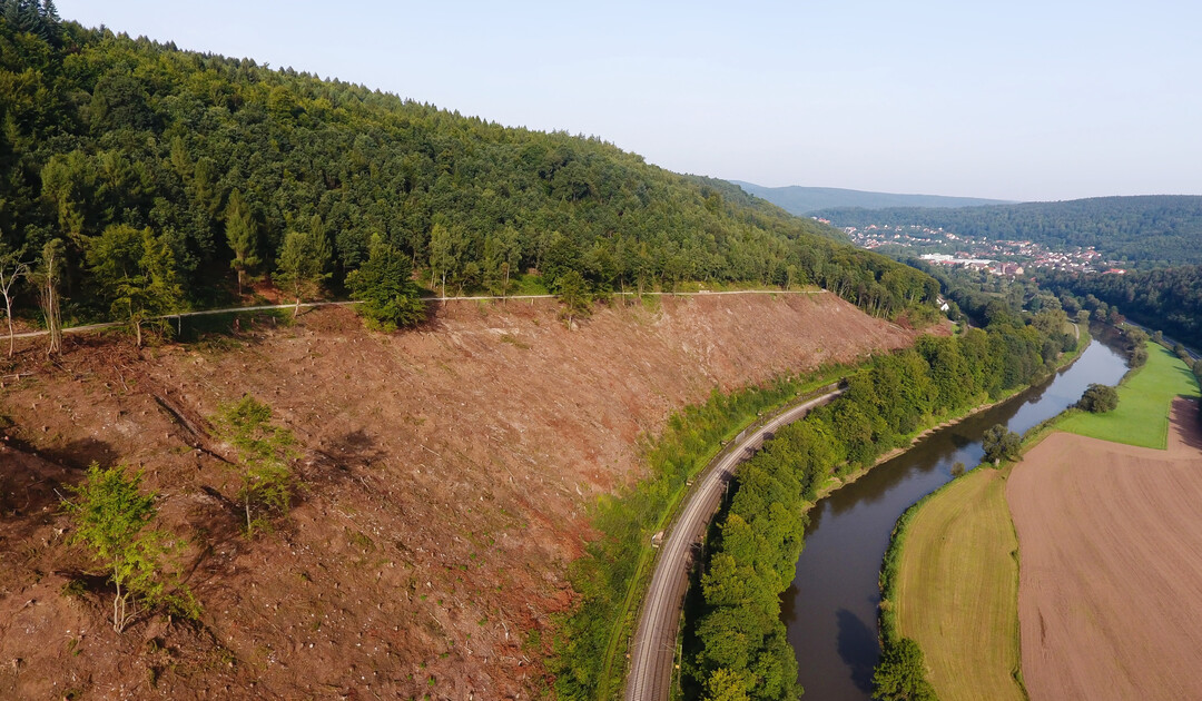 Der Deutschen Holzwirtschaftsrate (DHWR) fordert ein „Bündnis zur Holzmobilisierung“, in dem sich die relevanten Bundes- und Landesministerien zur aktiven und nachhaltigen Waldbewirtschaftung bekennen sollen.