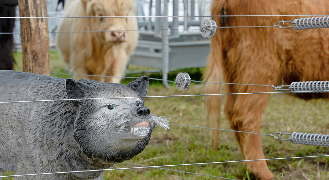 BUND-Landesgesch�ftsf�hrer�Martin Bachhofer�bef�rchtet, dass bei einer Bejagung des Wolfs die finanziellen Hilfen f�r den Herdenschutz eingedampft werden k�nnten. 
