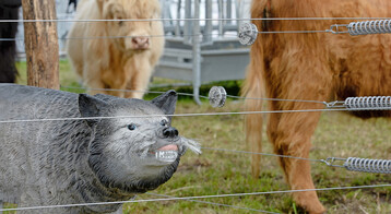 BUND-Landesgesch�ftsf�hrer�Martin Bachhofer�bef�rchtet, dass bei einer Bejagung des Wolfs die finanziellen Hilfen f�r den Herdenschutz eingedampft werden k�nnten. 