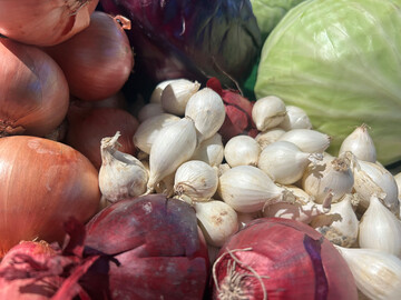 Regionale Vermarktungskonzepte im Fokus.