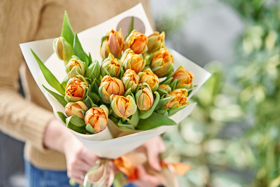 Tulpen sind die ultimativen Frühlingsboten in der Vase.