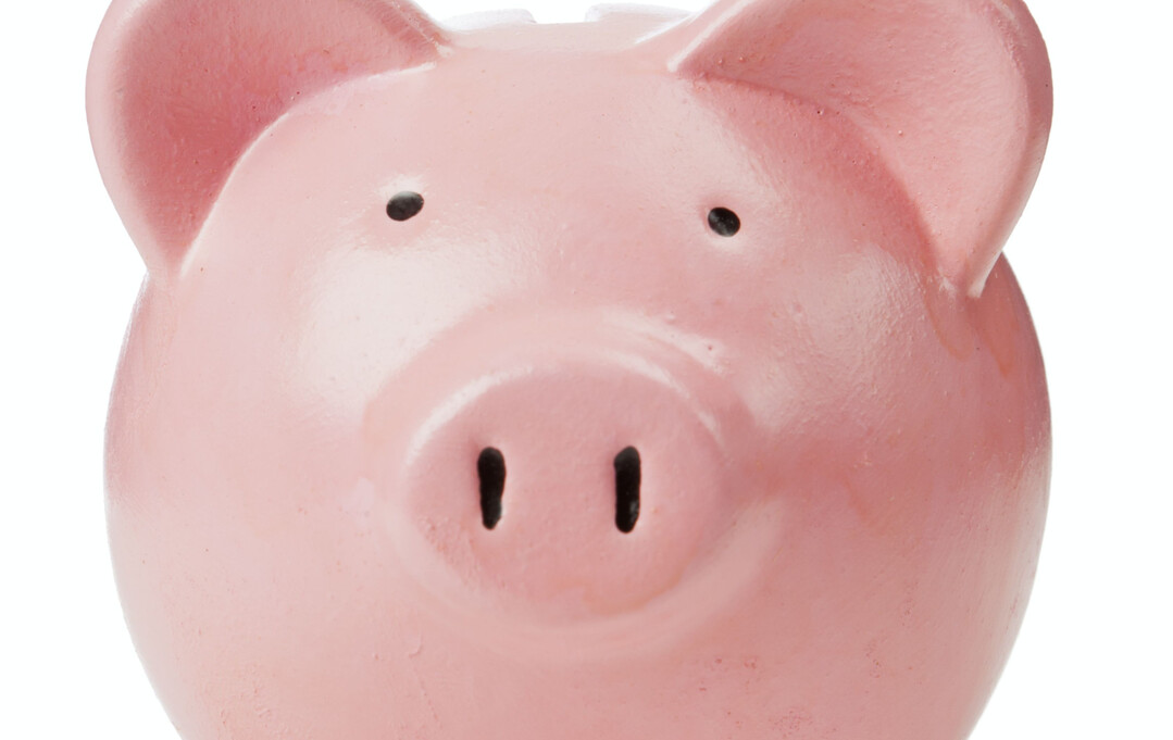 Rosa Sparschwein auf wei�em Hintergrund