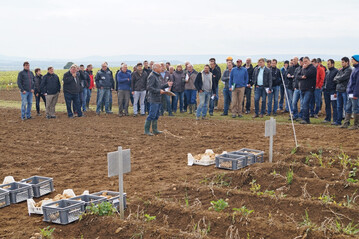 Kartoffelfachmann Hans-J�rgen Me�mer pl�diert daf�r, mit allen zur Verf�gung stehenden Mitteln die Entwicklung von Drahtw�rmern einzud�mmen.