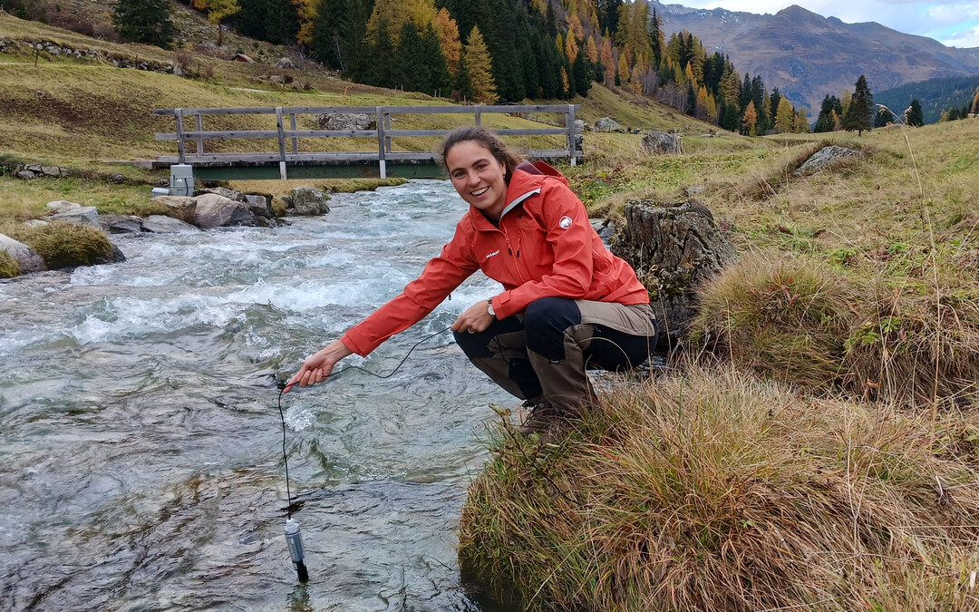 Unterschiede bei den Studienrichtungen:  Mit �ber zwei Dritteln gab es in den F�chern Pharmazie (69 %) und Biologie (67 %) die h�chsten Frauenanteile.